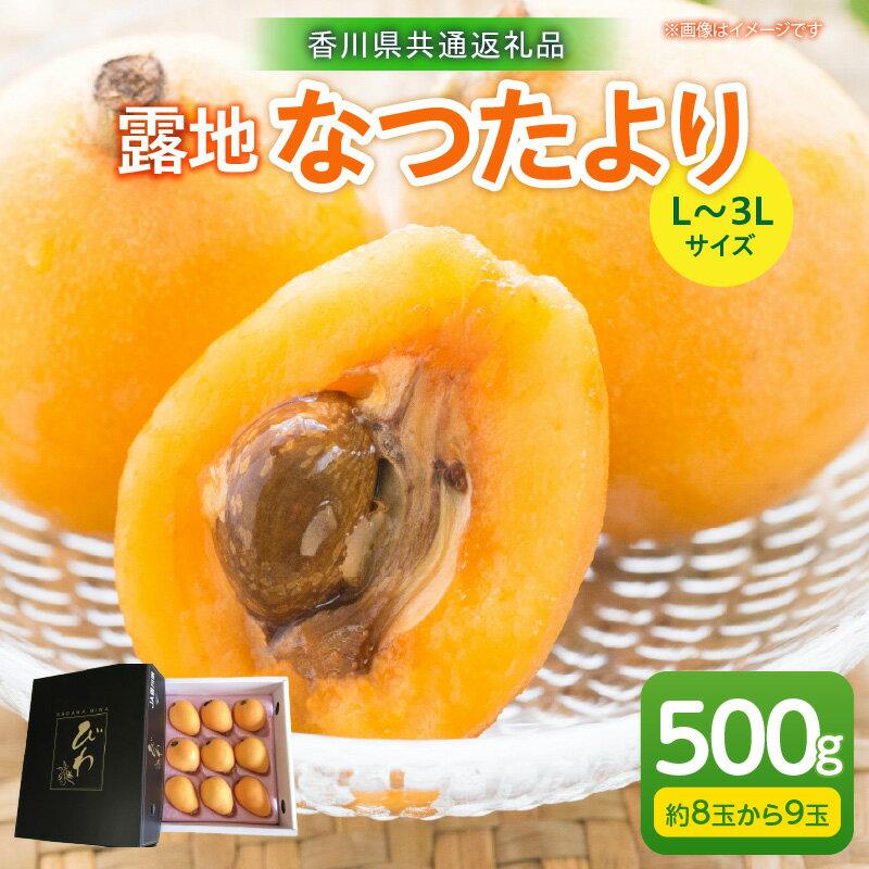 【ふるさと納税】露地なつたよりびわ 500g【香川県共通返礼品】 びわ フルーツ 果物 デザート 贈り物 贈答 旬 旬の果物 ギフト 果実 グルメ お取り寄せ 季節 季節の果物 甘み 甘い果物 初夏 香川県 三木町 送料無料