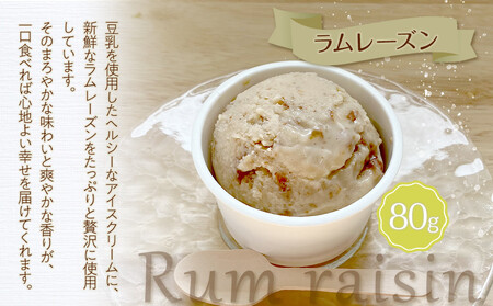 豆乳ラムレーズンアイス 約80g×6個入り【ゆふいんwakoya】