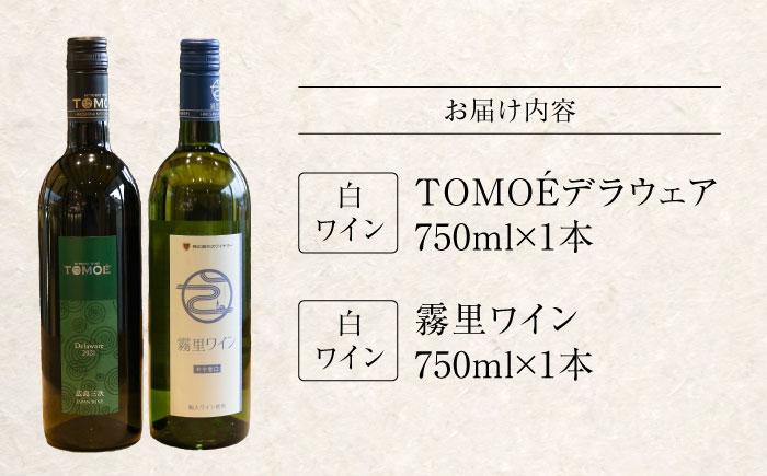 おすすめ 白ワイン 2本セット 霧里ワイン やや甘口 TOMOE デラウェア やや辛口 ワイン 受賞 飲み比べ ワインセット ギフト 三次市/広島三次ワイナリー [APAZ010]