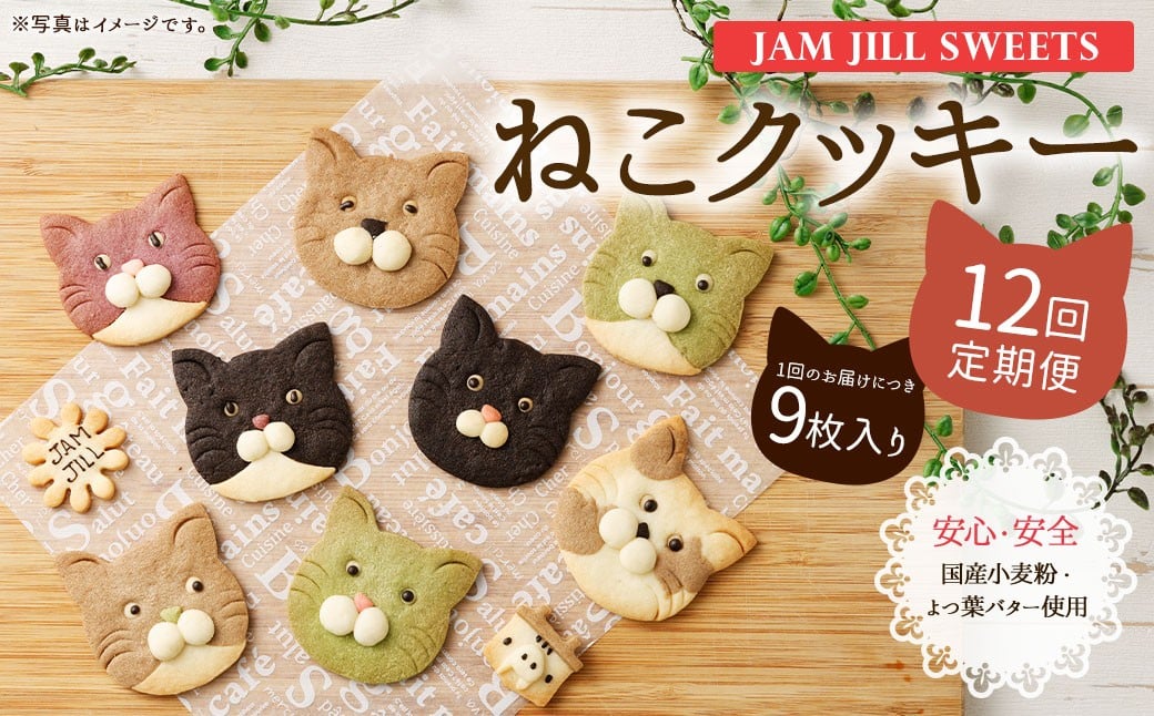 
                  【12回定期便】【詰め合わせ】【ギフト】JAM JILL SWEETS　ねこクッキーセット（9枚入り） 詰め合わせ スイーツ 洋菓子 ネコ ねこ ギフト プレゼント 手作り クッキー セット お菓子 菓子 9枚 定期便
                