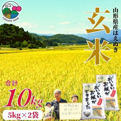 ふるさと納税 寒河江市 令和7年産 玄米10kg(5kg×2袋)「山形県産はえぬき」 2025年産