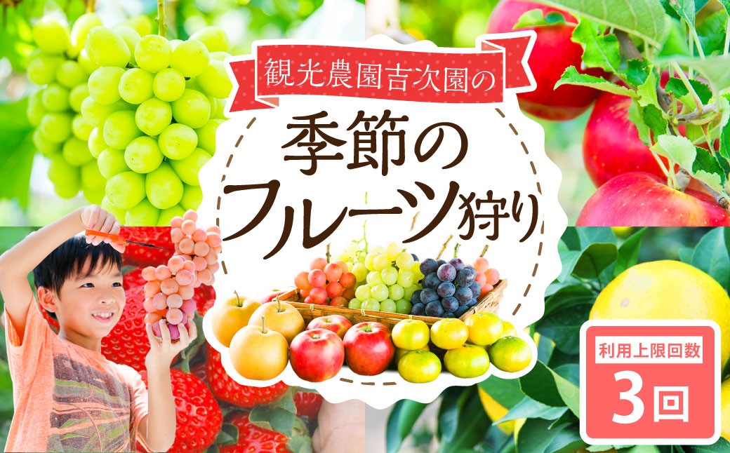 
            観光農園吉次園の「旬を味わうフルーツ狩りパスポート」（計3回） 果物狩り フルーツ 狩り 食べ比べ 食べ放題 季節 旬 家族 体験チケット チケット 体験 熊本県
          
