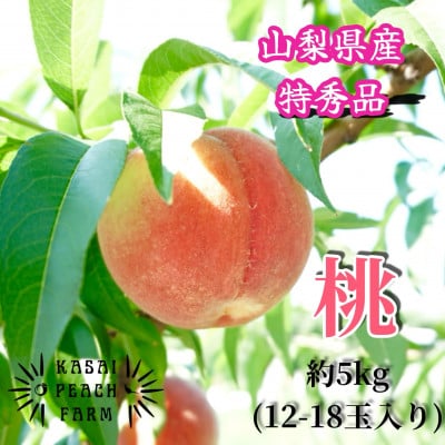 【2026年発送先行受付】厳選朝採り桃 山梨の笠井桃園の桃 約5kg【配送不可地域：離島】