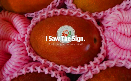 大宜味村産 アーウィン種マンゴー　優品1キロ フルーツ 果物 くだもの 果実 沖縄 大宜味村 食べ物 国産 優品 九州産 産地直送 ギフト プレゼント トロピカル 送料無料 甘味 スイーツ お取り寄せ