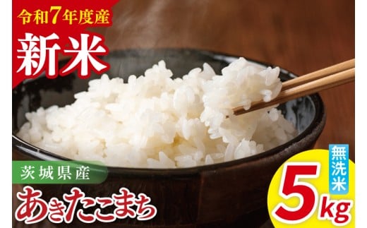 【先行予約】令和7年産 茨城県産あきたこまち　無洗米　5kg【お米 米 ごはん 茨城県】（85-32）
