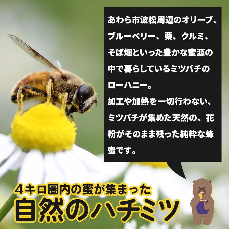 【天然はちみつ】 raw honey あわら蜜 1個 / 非加熱 生産者直送 蜂蜜 ミツバチ 純はちみつ ローヤルゼリー 生はちみつ みつばち [aw101-a001]