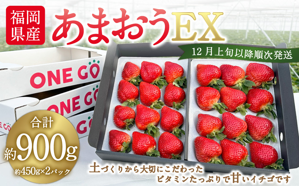 【2023年12月上旬より順次発送】 ギフト配送 福岡県産あまおう EX 約450g×2パック 合計約900g 〈特別栽培〉※北海道・沖縄・離島配送不可