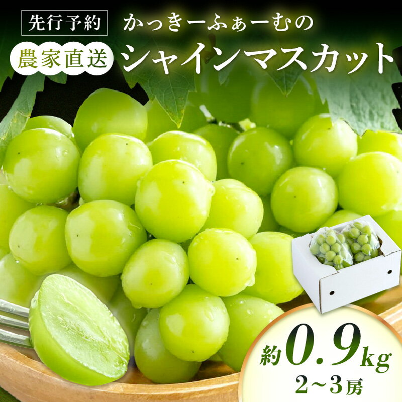 【ふるさと納税】【先行予約】《2026年9月中旬頃から発送》根域制限シャインマスカット 約0.9kg 2～3房 果物 シャインマスカット 先行予約 【183_1881】