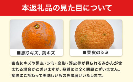熟成清見オレンジ 10kg 柑橘 オレンジ