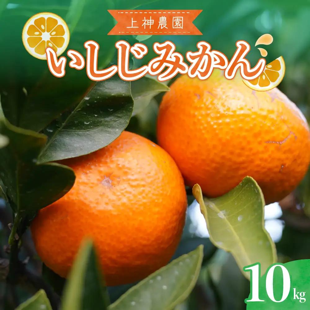 先行受付 2026年12月中旬～発送開始 いしじみかん 約10kg