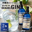 【ふるさと納税】オキナワ ジン 700ml 2本 GIN まさひろ酒造 クラフトジン オキナワジン 沖縄 国産 洋酒 MASAHIRO OKINAWA GIN お酒 ギフト 泡盛 製法 蒸留酒 地酒 47% スピリッツ シークヮーサー 柑橘 ぎん 銀 家飲み 宅飲み カクテル 贈答用 酒 24,000円 お中元 夏ギフト