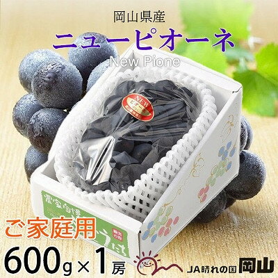 【ふるさと納税】【2025年8月発送】ご家庭用　岡山県産　ピオーネ　600g×1房【配送不可地域：離島】【1409713】