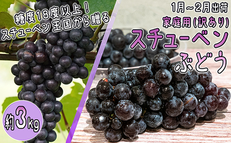 スチューベンぶどう 訳あり家庭用 津軽ぶどう村スチューベン【約3kg】