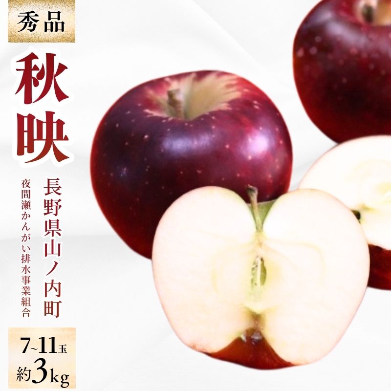 秋映 秀品 約3kg 7～11玉 りんご 果物 信州 長野