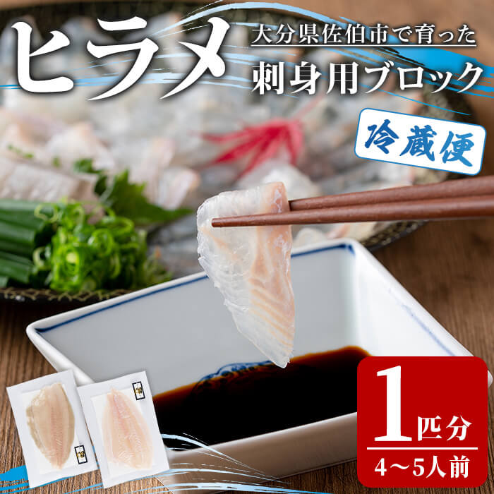 【ふるさと納税】 ＜先行予約受付中！2026年11月より発送予定＞ ヒラメ 刺身用 ブロック (1匹分・4-5人前) ヒラメ ひらめ 鮮魚 刺身 海鮮 さしみ 刺し身 【opba006】【海べ】
