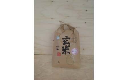 【令和7年産】有機JAS転換期間中有機農産物 らんこし産 玄米 ゆめぴりか 5kg(中村農場)お米 米 【2025年10月上旬~2026年7月下旬発送予定】