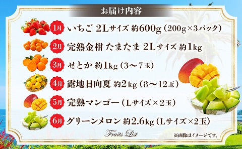 《2027年発送先行予約》【数量・期間限定】旬のフルーツ6ヶ月定期便vol.1