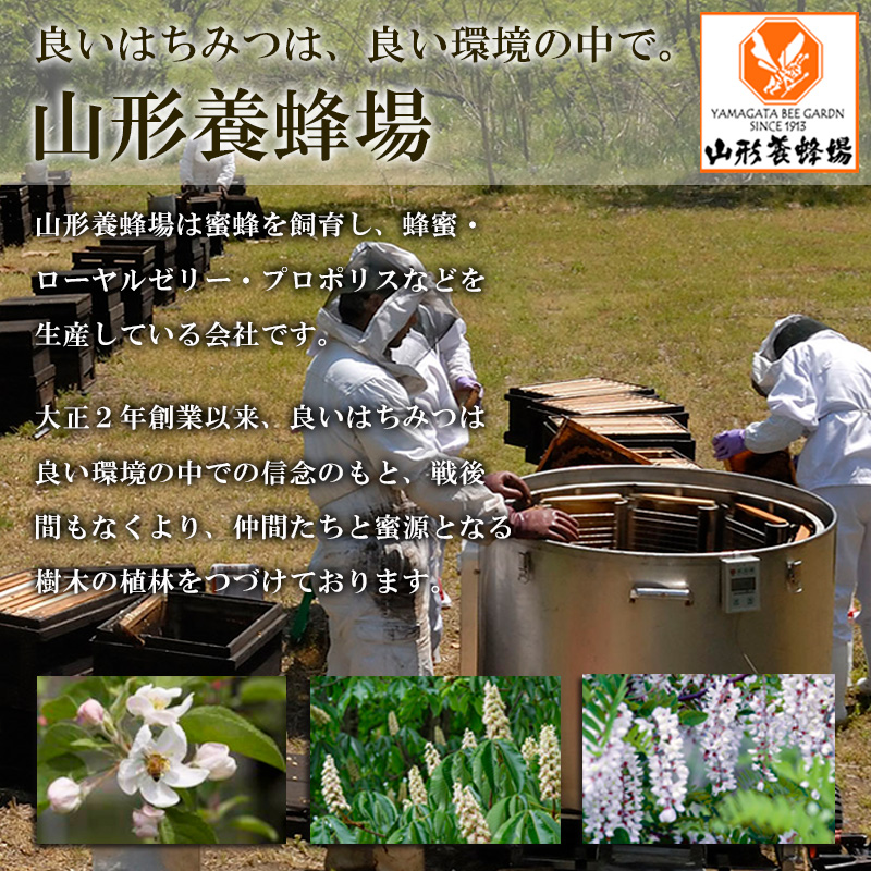 純粋蜂蜜 りんご蜜 500g FZ20-934