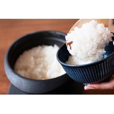 ふるさと納税 藤沢市 神奈川県産はるみ　5kg×2袋　精米 |  | 02