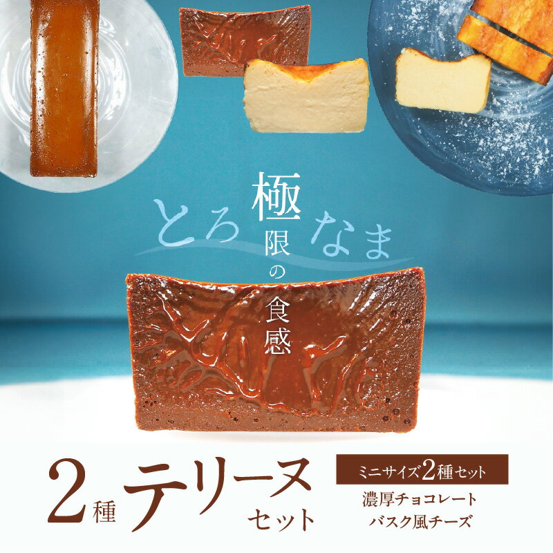【ふるさと納税】ミニサイズ 濃厚 チョコレート バスク風 チーズ 2種 テリーヌ セット グルテンフリー 保存料不使用 クリームチーズ サワークリーム スイーツ デザート おやつ 冷凍 国産 専門店 人気 フレンチシェフ 愛知県 碧南市 お取り寄せ お取り寄せスイーツ 送料無料