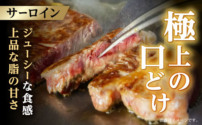 【3回定期便】【二大高級部位！】サーロイン と ヒレ ステーキ 計700g (各2枚) / 長崎和牛 A4～A5ランク 希少部位 / 諫早市 / 野中精肉店 [AHCW081]