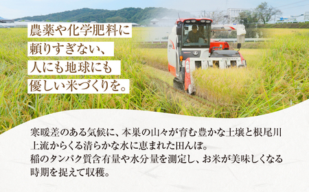 【ミルキークイーン3回定期便】米 10kg もとすファーム 3ヶ月[mt140]