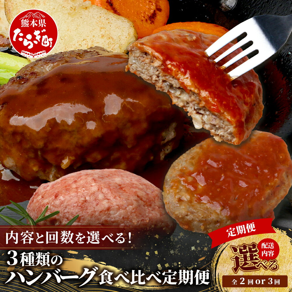 【ふるさと納税】内容選べる定期便！ ハンバーグ 食べ比べ 2回 / 3回 【くまもと黒毛和牛 生 ハンバーグ / レンチン ハンバーグ /自家製 豆腐 ハンバーグ】 牛肉 豆腐 とうふ 豚肉 鶏肉 食べ比べ セット 冷凍 ストック 定期 国産 冷凍 熊本県 多良木町 送料無料