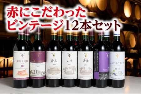 【北海道】赤にこだわったビンテージ12本　人気ワイン　ビンテージワイン　ワイン　北海道ワイン　本格派ワイン　こだわりワイン　ワイン