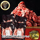 【ふるさと納税】格之進 国産牛 切り落とし 1.2kg (300g×4パック) ふるさと納税 贈り物 プレゼント ギフト 焼肉 すき焼き ステーキ しゃぶしゃぶ 鍋 バーベキュー BBQ 肉 牛肉 人気 小分け 国産 冷凍 お弁当 高級 絶品 送料無料 岩手県 一関市