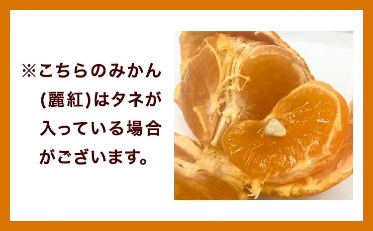 みかん 麗紅 5kg 麗紅