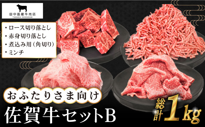 【毎日のお料理に】おふたりさま向け 佐賀牛 普段使いセットB【田中畜産牛肉店】 [HBH110]