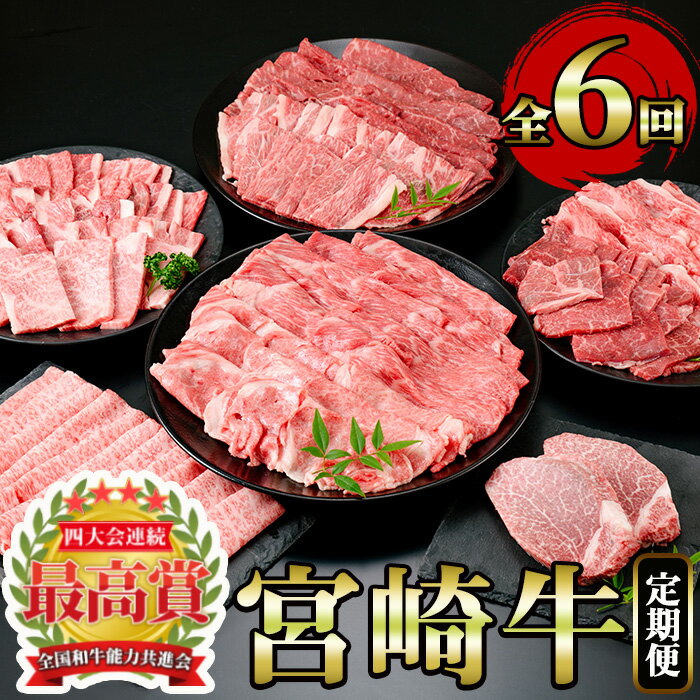 【ふるさと納税】＜定期便・6回(連続)＞宮崎牛・定期便B(6ヶ月)国産 宮崎県産 宮崎牛 牛肉 ステーキ 焼肉 A4 肩ロース ウデ ロース ヒレ コンシェルジュ【MI003】【(株)ミヤチク宮崎加工センター】