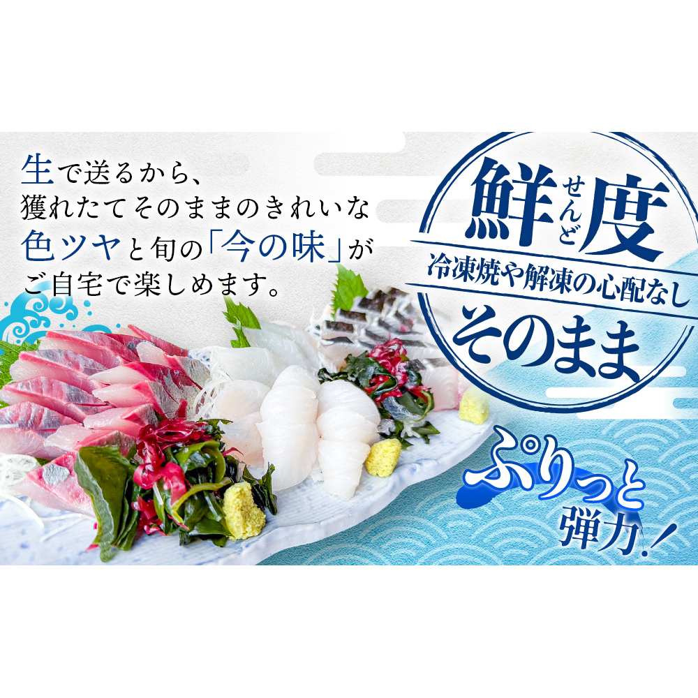 【冷蔵】お刺身 詰め合わせ（サク）4,5人前（5種類）　釣屋魚問屋直営 ひみ岸壁市場_イメージ3
