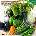 【ふるさと納税】【選べる隔月定期便 2ヶ月～6ヶ月】有機JAS認定 季節の野菜詰め合わせ～有機野菜セットA～ 10～12種類程度 おまかせ 農薬化学肥料不使用 朝どれ 新鮮野菜 安心 安全 国産 隔月定期 2回 3回 4回 5回 6回 冷蔵 北海道 北広島市 送料無料