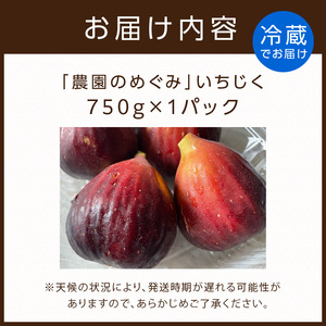【期間限定】甘味凝縮 いちじく 750g×1【2500C08201】