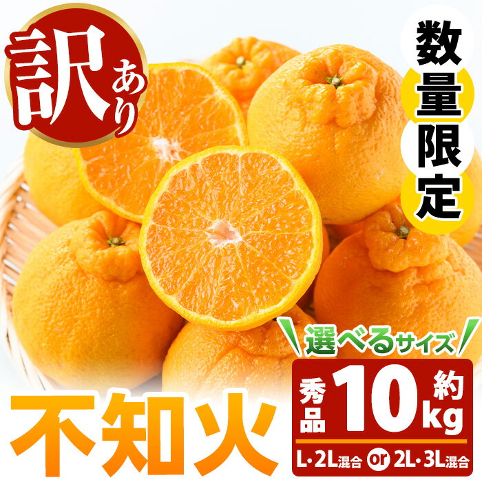 【ふるさと納税】《訳あり》＜選べるサイズ！＞池之上果樹園の不知火 10kgバラ詰め満杯(L・2L混合 or 2L・3L混合) 国産 鹿児島県産 果物 柑橘 みかん ミカン 不知火 しらぬい でこぽん 訳アリ 秀品 サイズ不揃い フルーツ 果実 産地直送 農家直送 冬季 常温 【池之上果樹園】