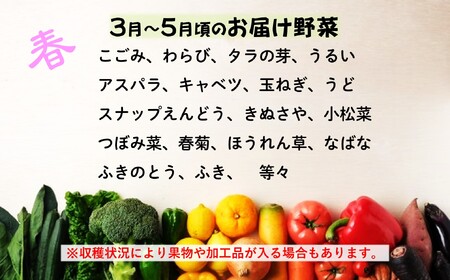 定期便6ヶ月 旬の野菜セットA(６品以上) I0089