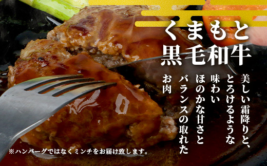 【大容量】熊本県産 黒毛和牛 ミンチ1kg (500g×2) 本場 熊本県 黒毛 和牛 国産 牛肉 ミンチ肉 挽肉 ひき肉挽き肉 ブランド 牛 肉 上質 ハンバーグ 7000円 113-0545