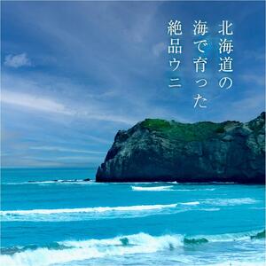 【ふるさと納税】 ≪贈り物≫ 幸雲丹80g ( ムラサキ 北海道産 ) ウニ うに 父の日 雲丹 【余市のうに】 父の日 ギフト 父の日 プレゼント 北海道 父の日 ムラサキウニ 白うに 白雲丹 冷凍