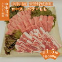 【ふるさと納税】チルド便でお届け！中津川産ブランド豚【栗旨豚】特盛1.5キロ！焼肉用 訳あり F4N-1234