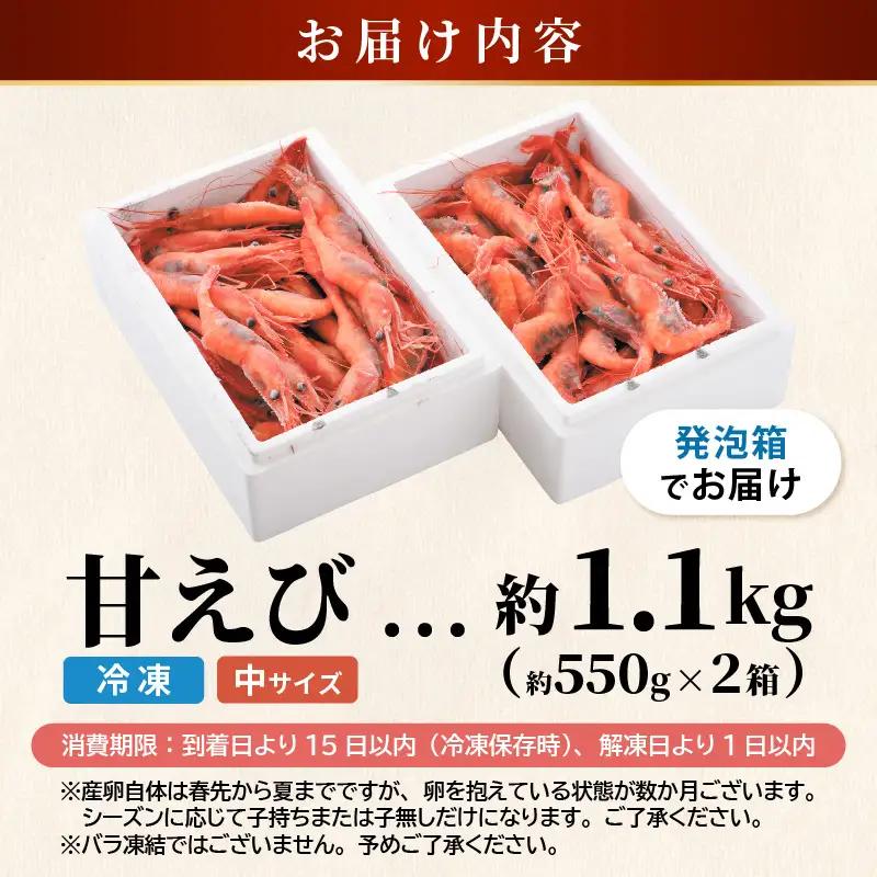【発泡箱入り】 甘えび 1.1kg (550g×2箱) 中サイズ エビ 冷凍 [A-23110]