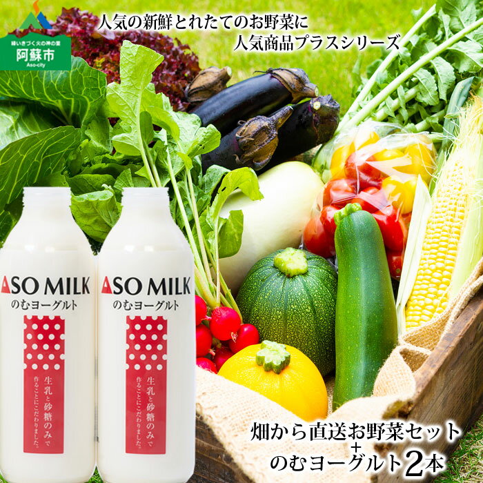 【ふるさと納税】レビューキャンペーン対象 ASOMILK 阿部牧場 お野菜セット 季節の野菜 牛乳のむヨーグルト800ml×2本 セット 高原 新鮮 旬 お野菜 5〜10品 減農薬 産地直送 詰め合わせ 熊本県 阿蘇市