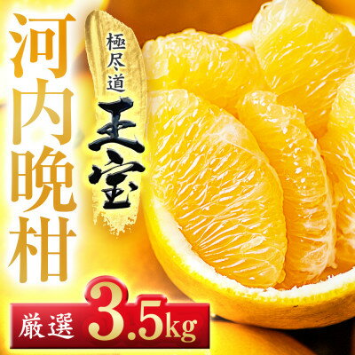 【ふるさと納税】【愛媛名産】玉宝河内晩柑　3.5kg【C64-52】【1511374】