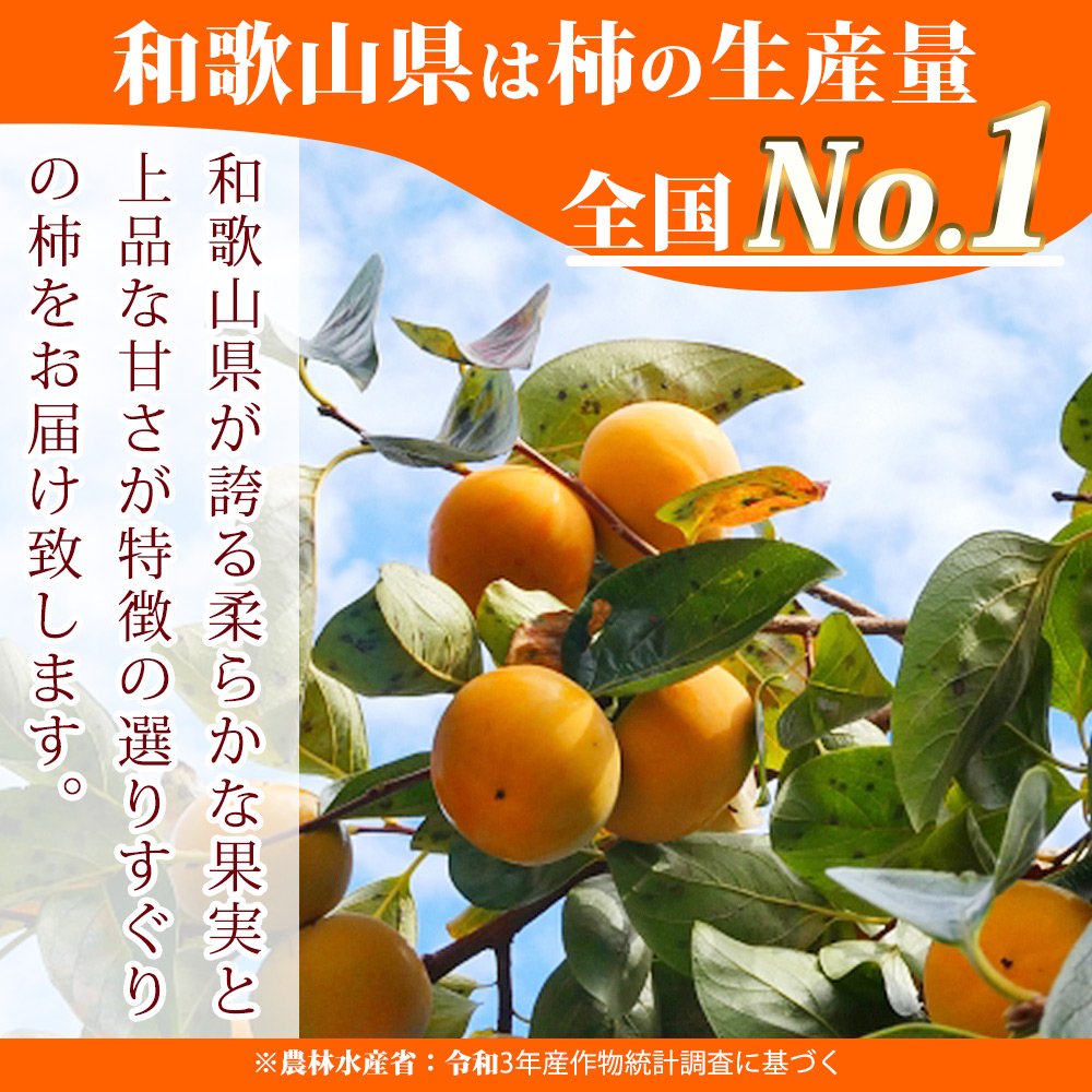 G7113_【2025年先行予約】和歌山秋の味覚 平核無柿（ひらたね