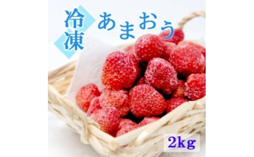 いちご 白木のいちご 旬のおいしさそのまま 冷凍 あまおう 2kg (500g×4P) イチゴ 苺 果物 デザート ※配送不可：沖縄・離島