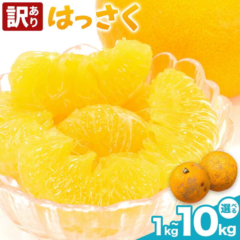 【ふるさと納税】はっさく 訳あり 選べる内容量 1kg 2kg 3kg 4kg 5kg 6kg 7kg 8kg 9kg 10kg 株式会社農業福祉研究機構《1月上旬-2月下旬頃出荷》和歌山県 紀の川市 送料無料 フルーツ 果物 八朔 柑橘 ハッサク 旬 旬のフルーツ お取り寄せフルーツ ご家庭用