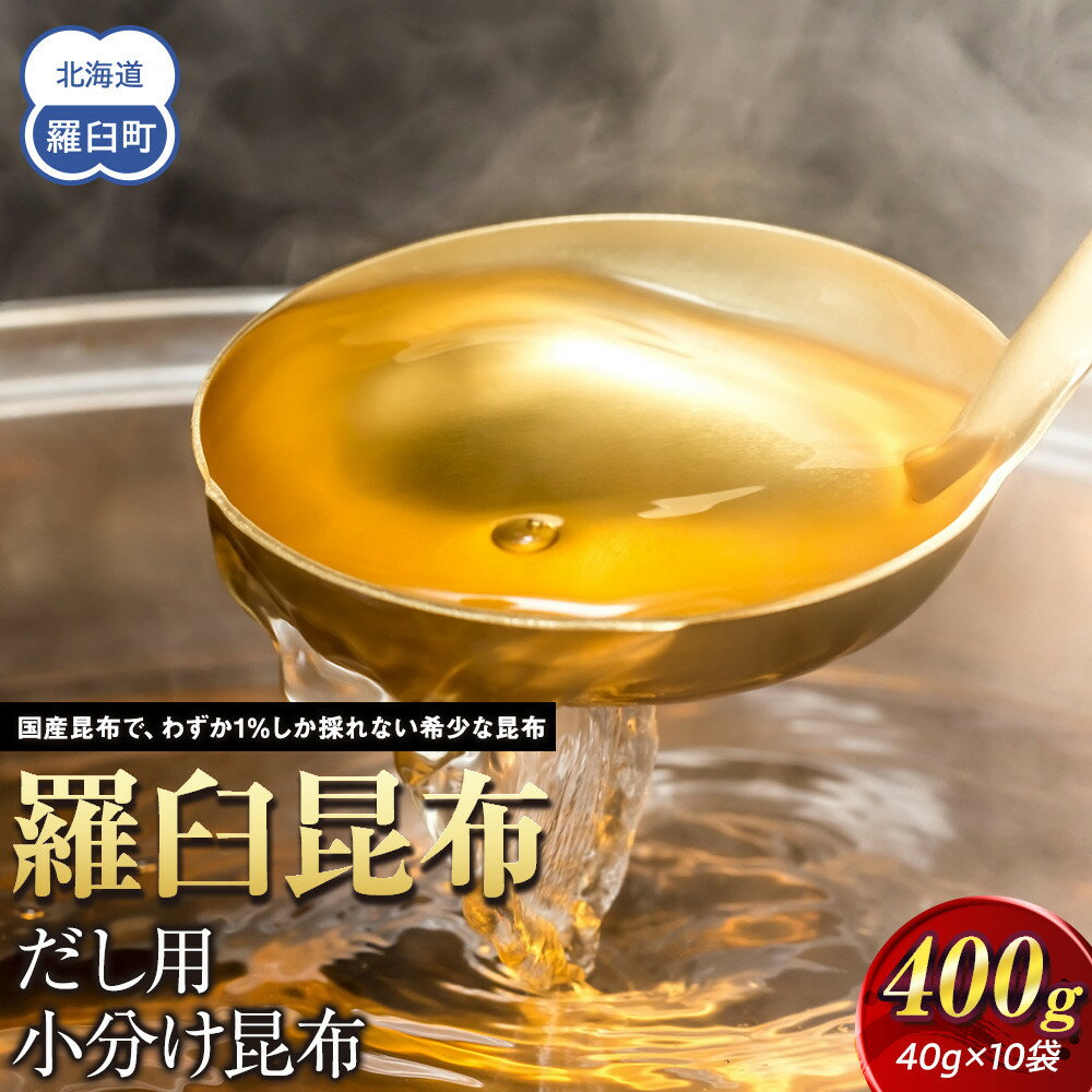 【ふるさと納税】羅臼昆布だし用小分け昆布10袋セット(40g×10袋)北海道　知床　羅臼産　生産者 支援 応援 | 国産 昆布 だし昆布 出汁 和食 海産物