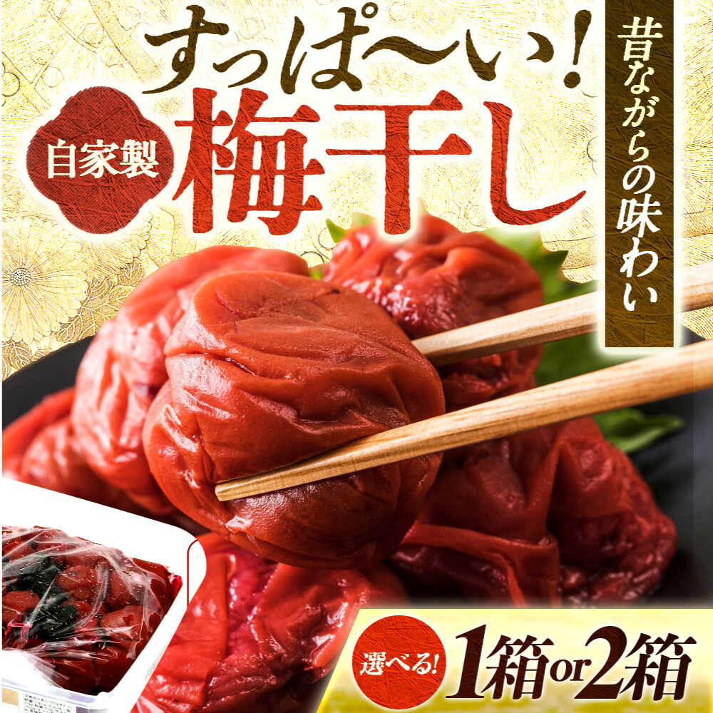 【ふるさと納税】 自家製 梅干し＼選べる容量900g × 1箱or2箱／ うめぼし 梅 うめ 福井県 小浜市 / 今富食料品店 [BFAN004][BFAN003]