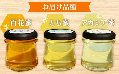 純粋はちみつ 3本セット（アカシア・とち・百花）山形県飯豊町産蜂蜜 - 国産 天然 蜂蜜 食べ比べ 山形県 飯豊町 佐藤養蜂