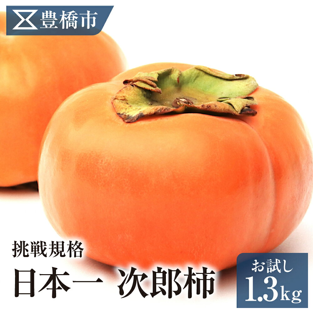 【ふるさと納税】《先行予約》豊橋市産 次郎柿 お試し用 1.3kg 産地直送 柿 かき 果物 フルーツ デザート 送料無料 愛知県 豊橋市